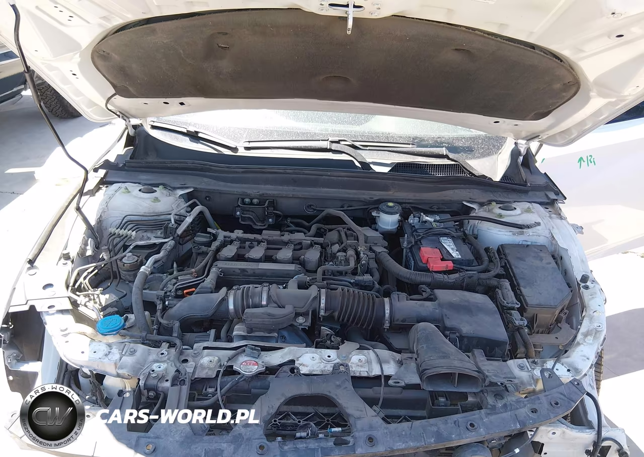 2019 Honda Accord Lx VIN:1HGCV1F18KA173087 - 10