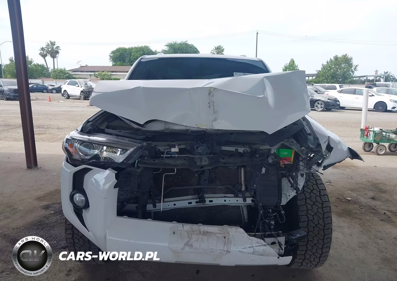 2018 Toyota 4Runner Sr5 Premium VIN:JTEZU5JR5J5172675 - 12