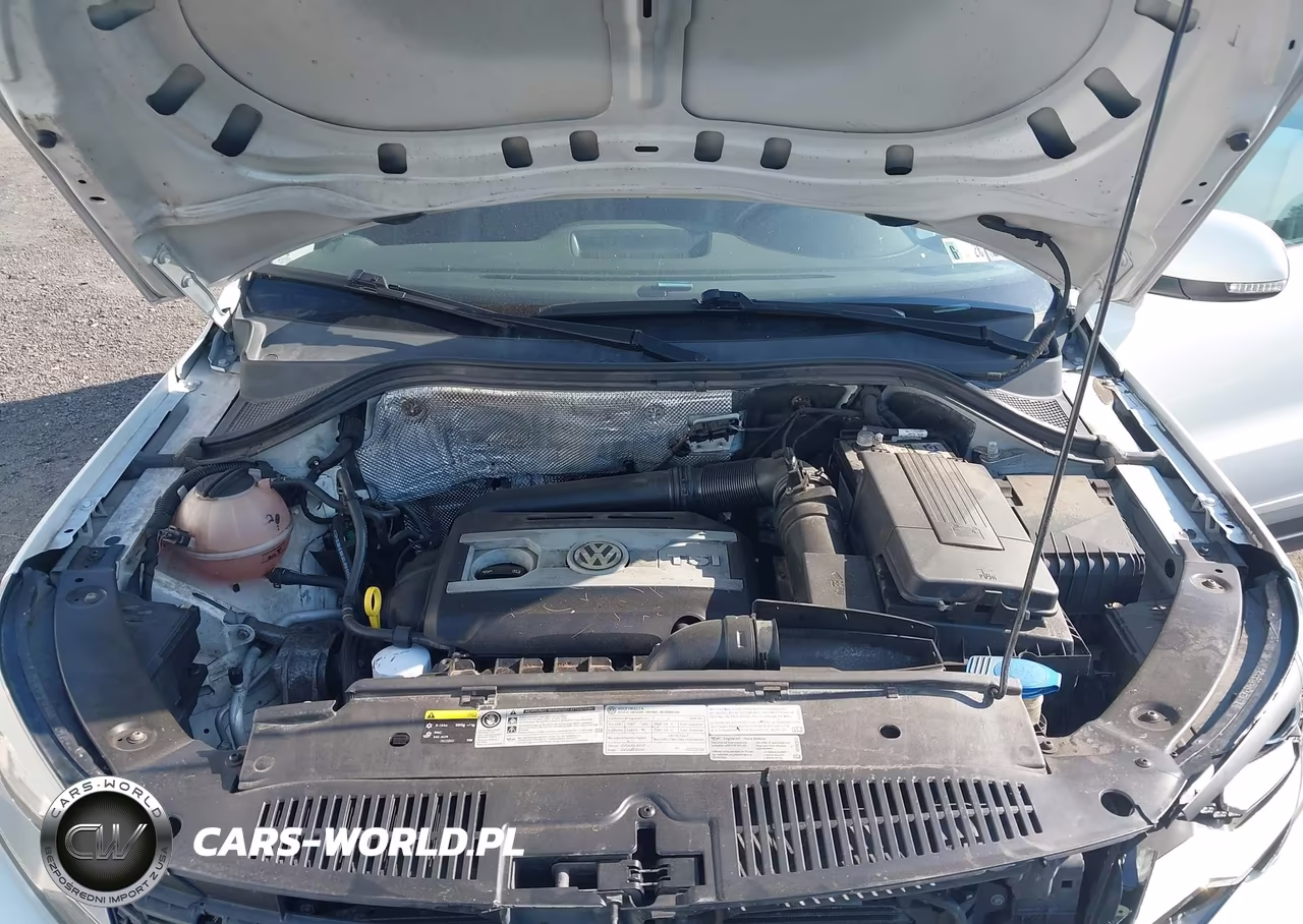 2016 Volkswagen Tiguan Se VIN:WVGBV7AX8GW605093 - 10