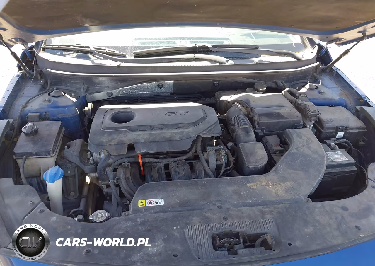 2015 Hyundai Sonata Sport VIN:5NPE34AF0FH044101 - 10