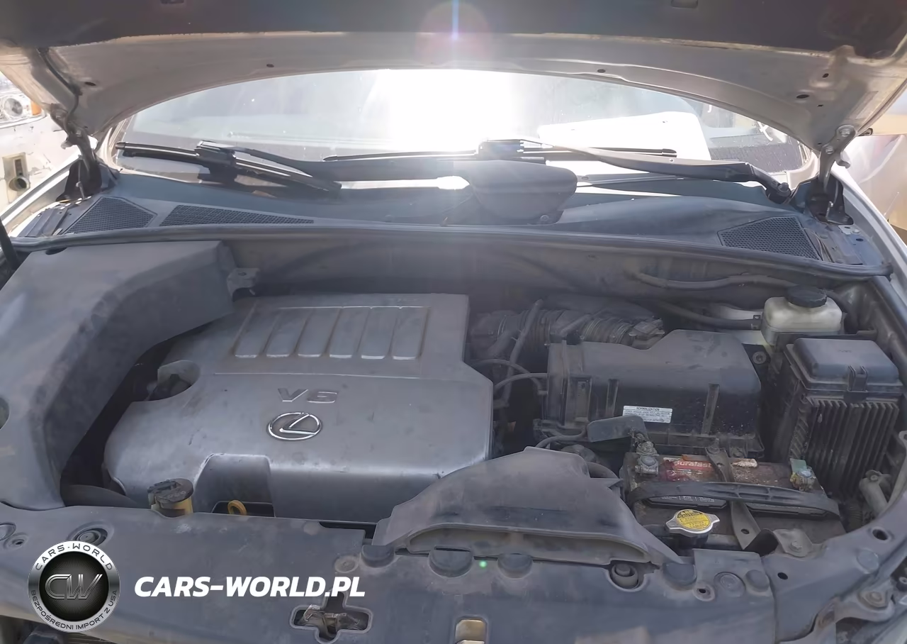 2009 Lexus Rx 350 VIN:2T2GK31U69C070046 - 10