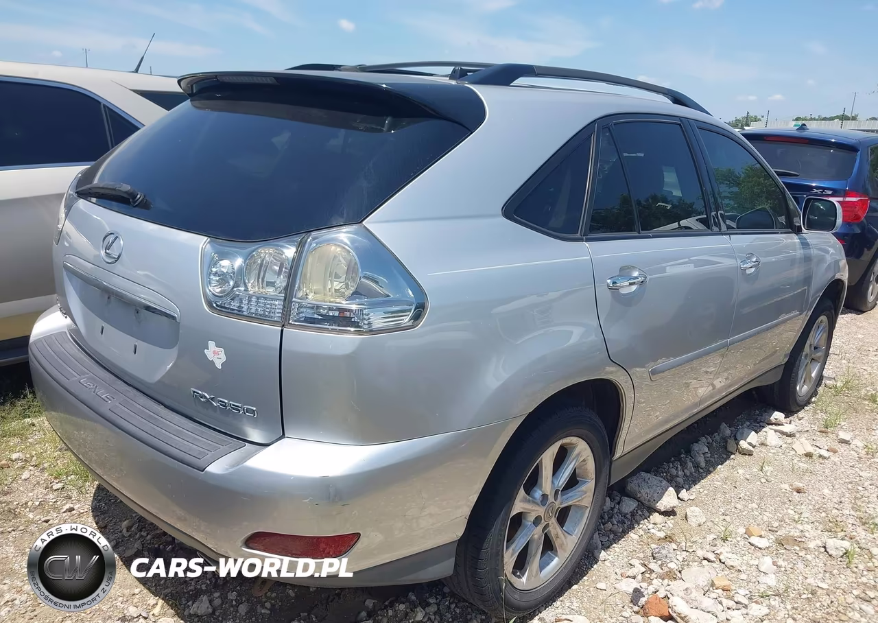 2009 Lexus Rx 350 VIN:2T2GK31U69C070046 - 4