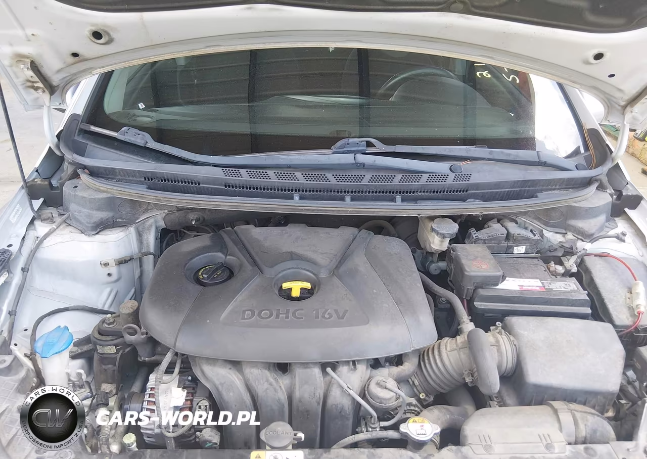 2014 Kia Forte Lx VIN:KNAFK4A60E5215903 - 10