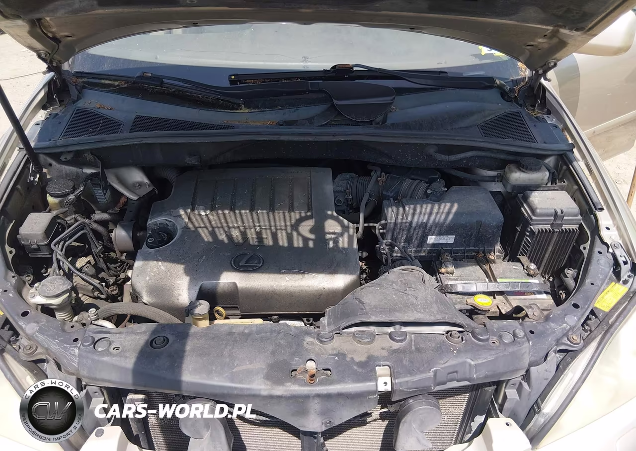 2007 Lexus Rx 350 VIN:2T2HK31UX7C039495 - 10
