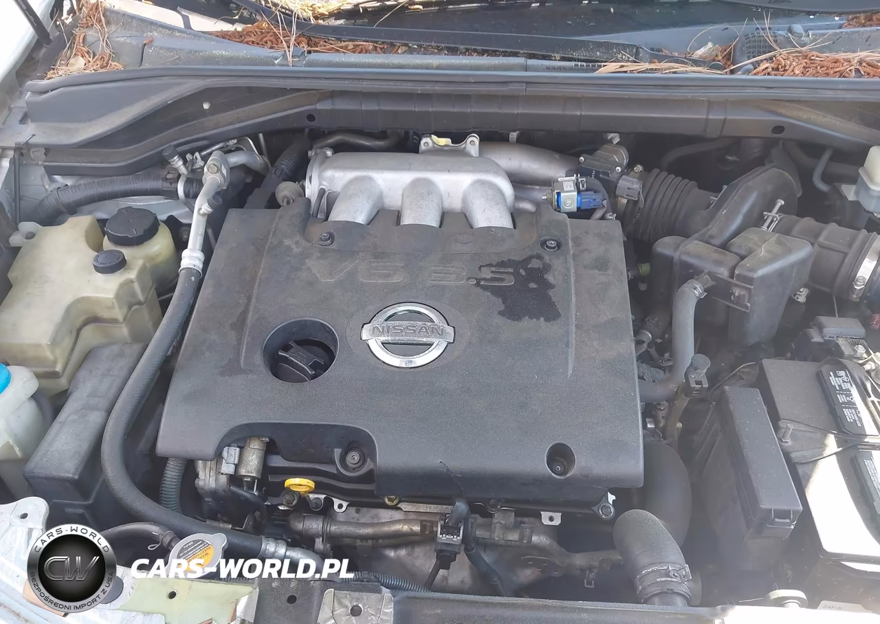 2005 Nissan Murano Sl VIN:JN8AZ08T65W318674 - 10
