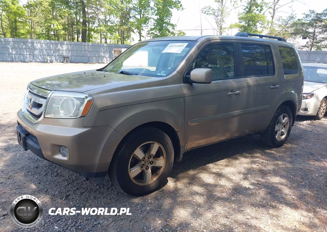2009 Honda Pilot Ex-L VIN:5FNYF48619B034836 - 2
