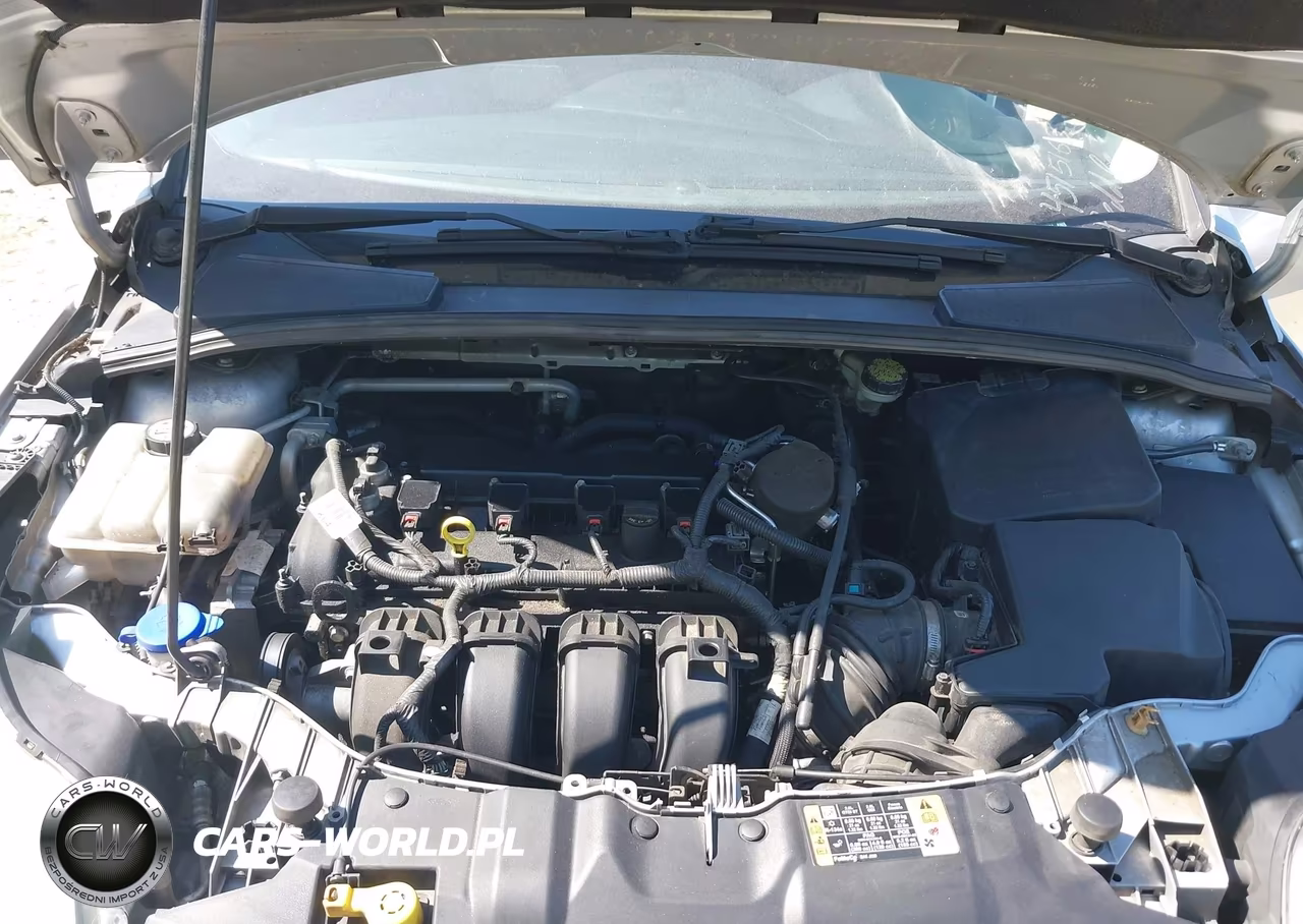 2014 Ford Focus Se VIN:1FADP3K21EL402893 - 10