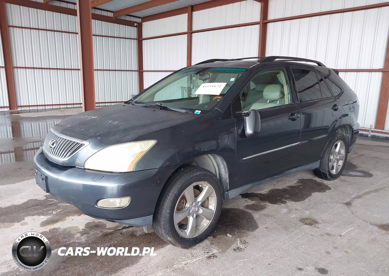 2004 Lexus Rx 330 VIN:JTJGA31U840007330 - 2