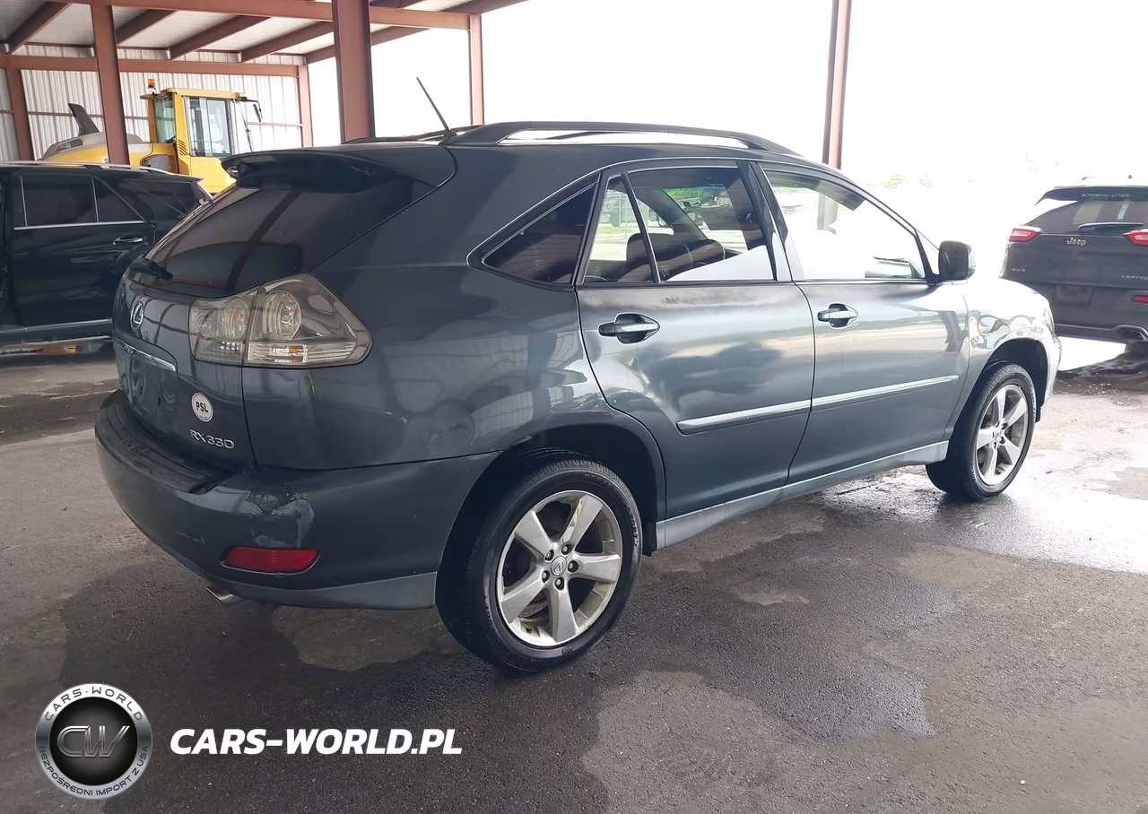 2004 Lexus Rx 330 VIN:JTJGA31U840007330 - 4