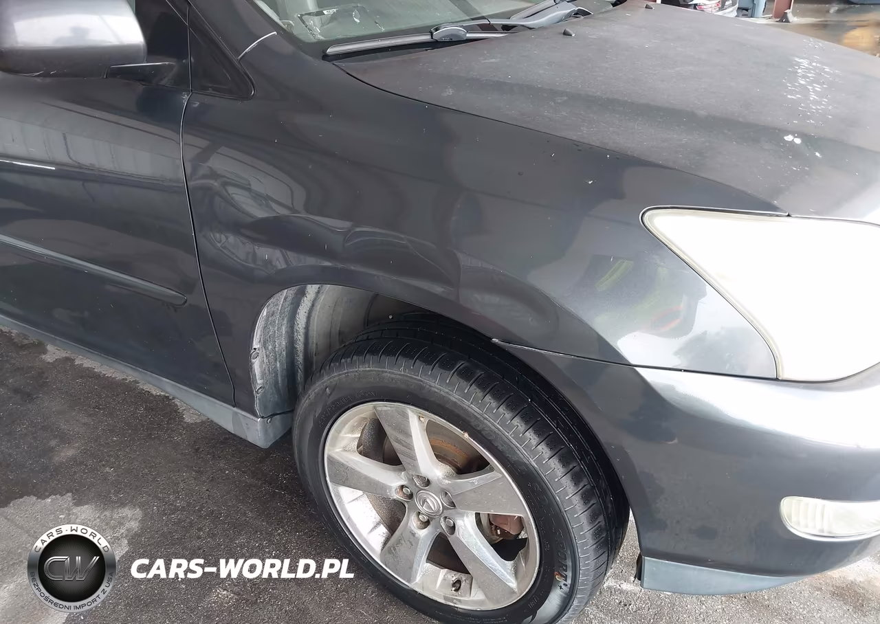 2004 Lexus Rx 330 VIN:JTJGA31U840007330 - 6