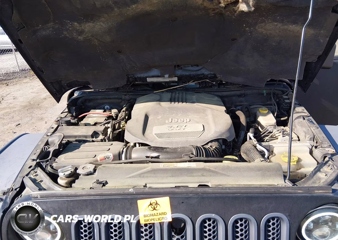 2012 Jeep Wrangler Unlimited Rubicon VIN:1C4BJWFG1CL165281 - 10