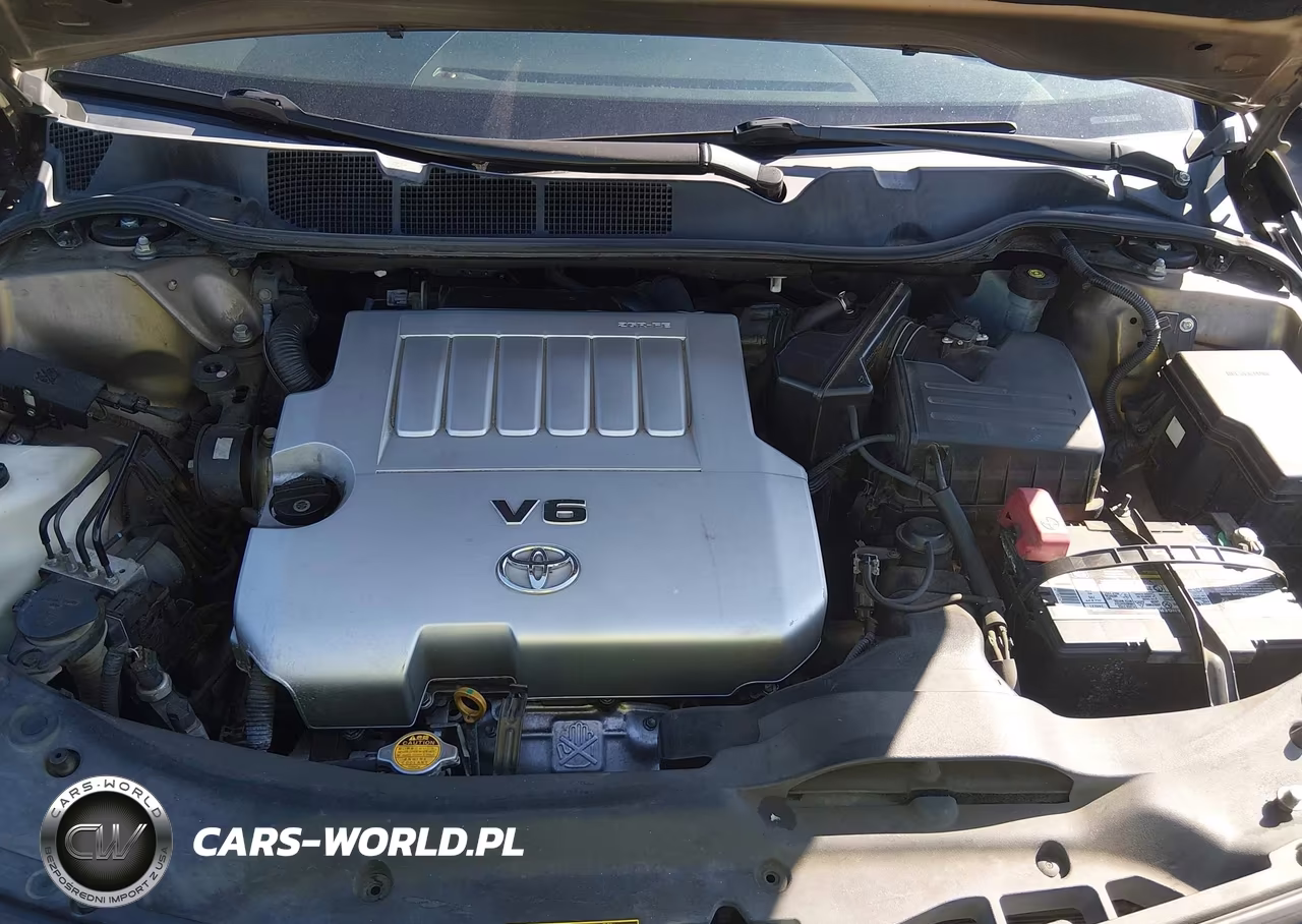 2009 Toyota Venza Base V6 VIN:4T3ZK11A79U004442 - 10
