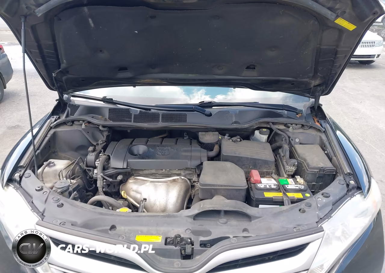 2014 Toyota Venza Xle VIN:4T3ZA3BB2EU086466 - 10