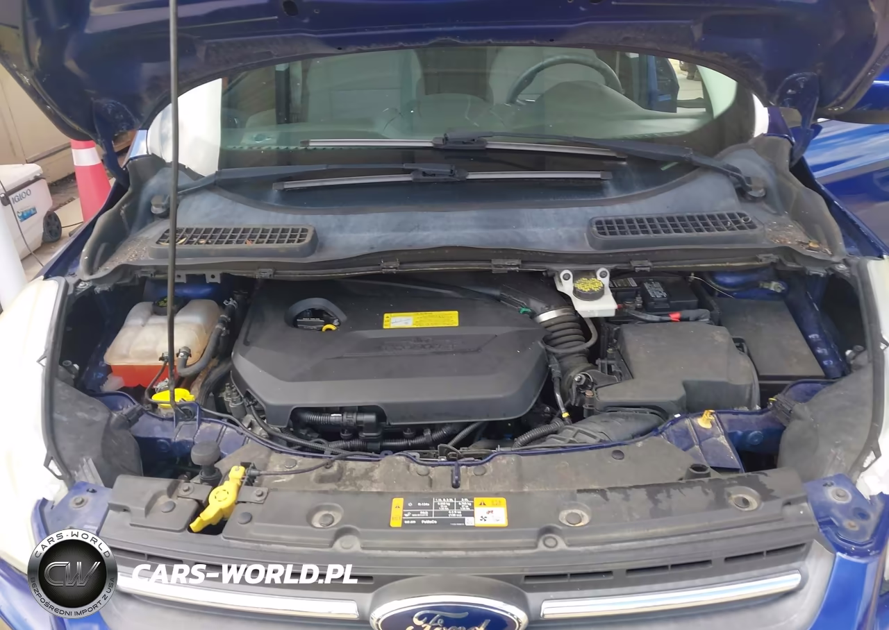 2014 Ford Escape Se VIN:1FMCU0GX0EUA35475 - 10