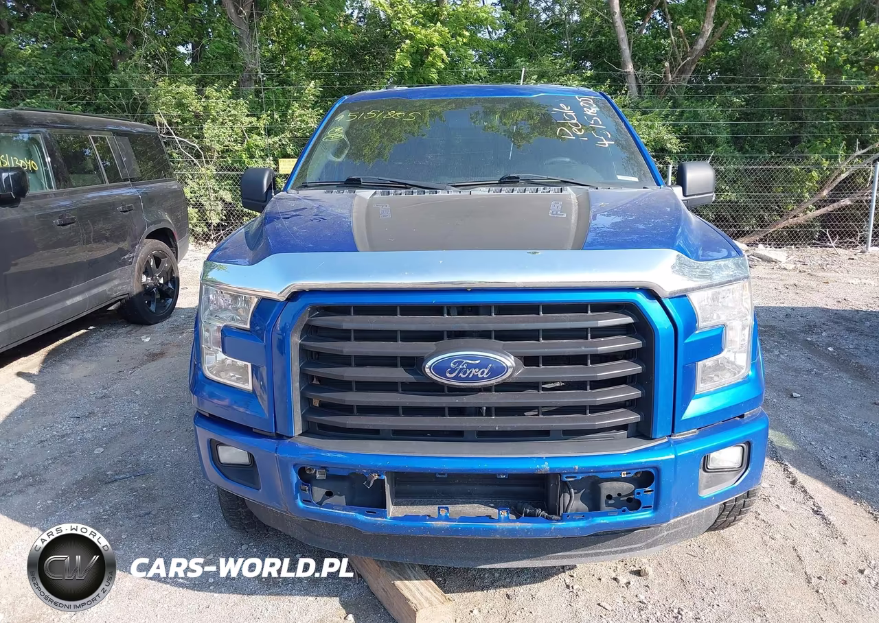 2016 Ford F-150 Xlt VIN:1FTEW1EP5GFC09080 - 12