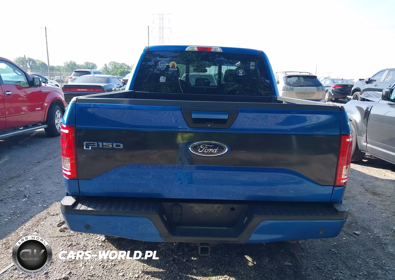 2016 Ford F-150 Xlt VIN:1FTEW1EP5GFC09080 - 16
