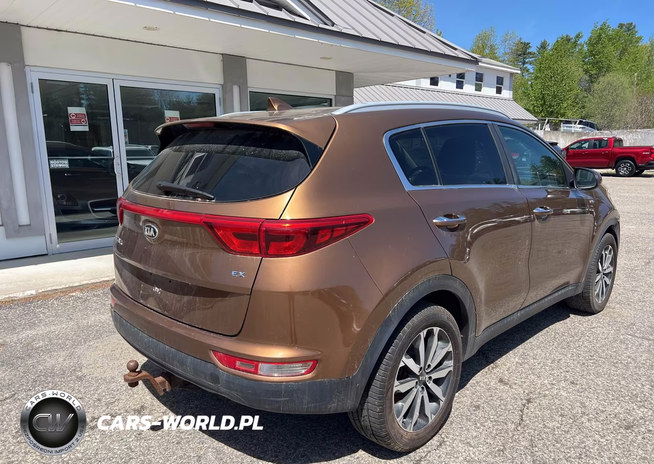 2017 Kia Sportage Ex VIN:KNDPNCAC2H7032557 - 4