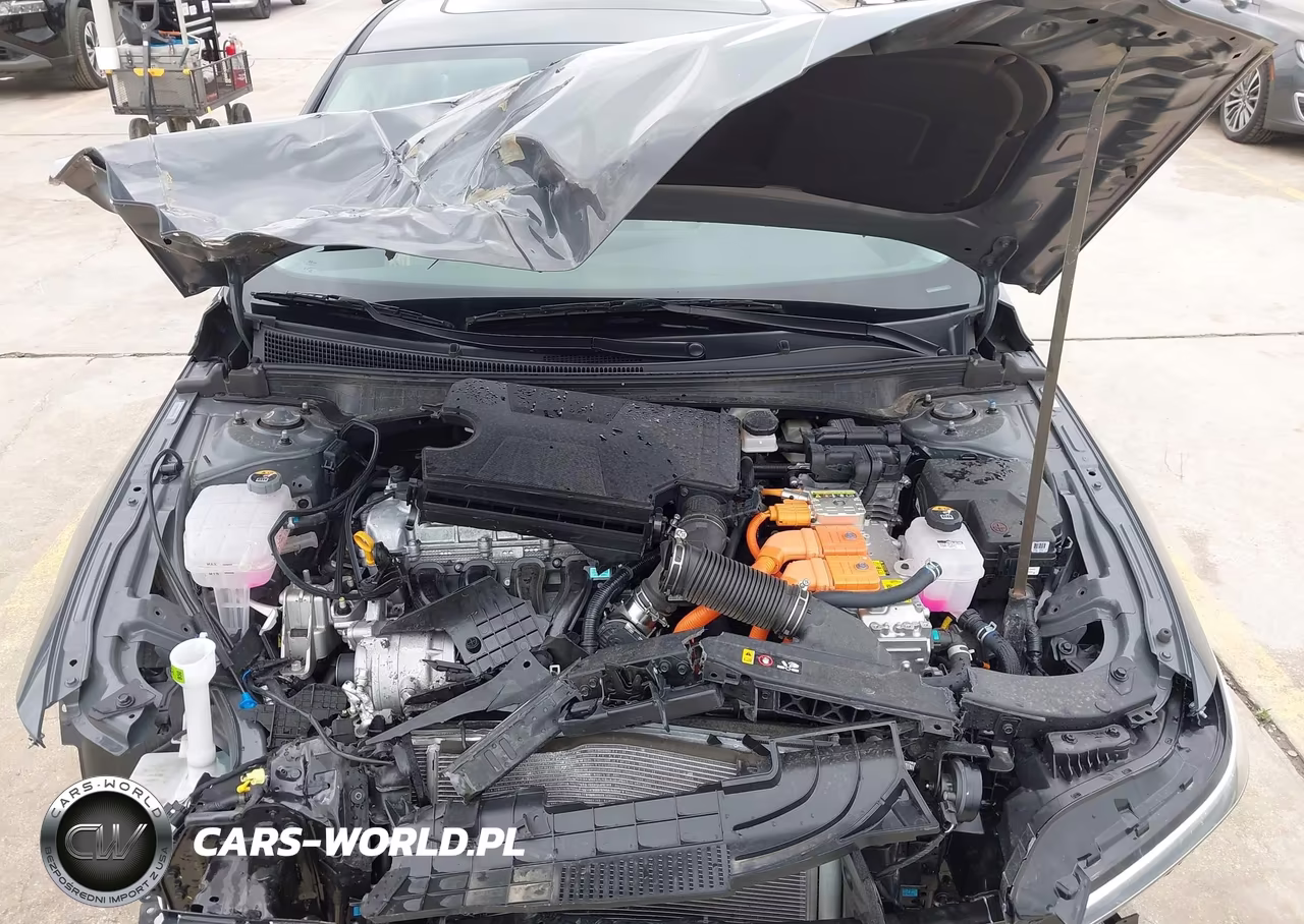 2025 Hyundai Elantra Hybrid Limited VIN:KMHLN4DJ6SU174154 - 10