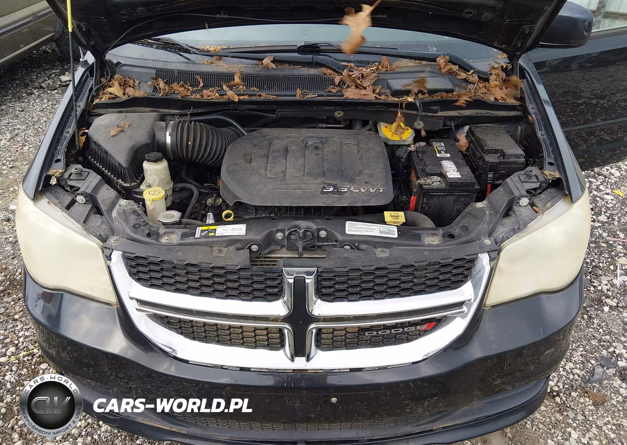2014 Dodge Grand Caravan Sxt VIN:2C4RDGCG4ER214404 - 10