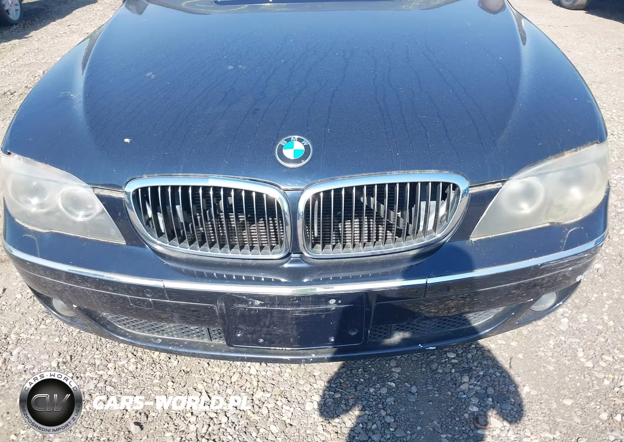 2008 BMW 750Li VIN:WBAHN83598DT82699 - 10
