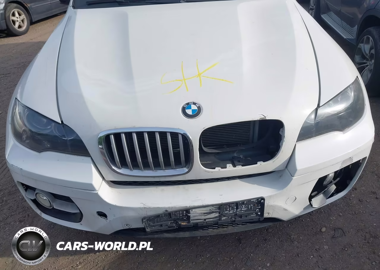 2011 BMW X6 xDrive35I VIN:5UXFG2C51BLX06483 - 10
