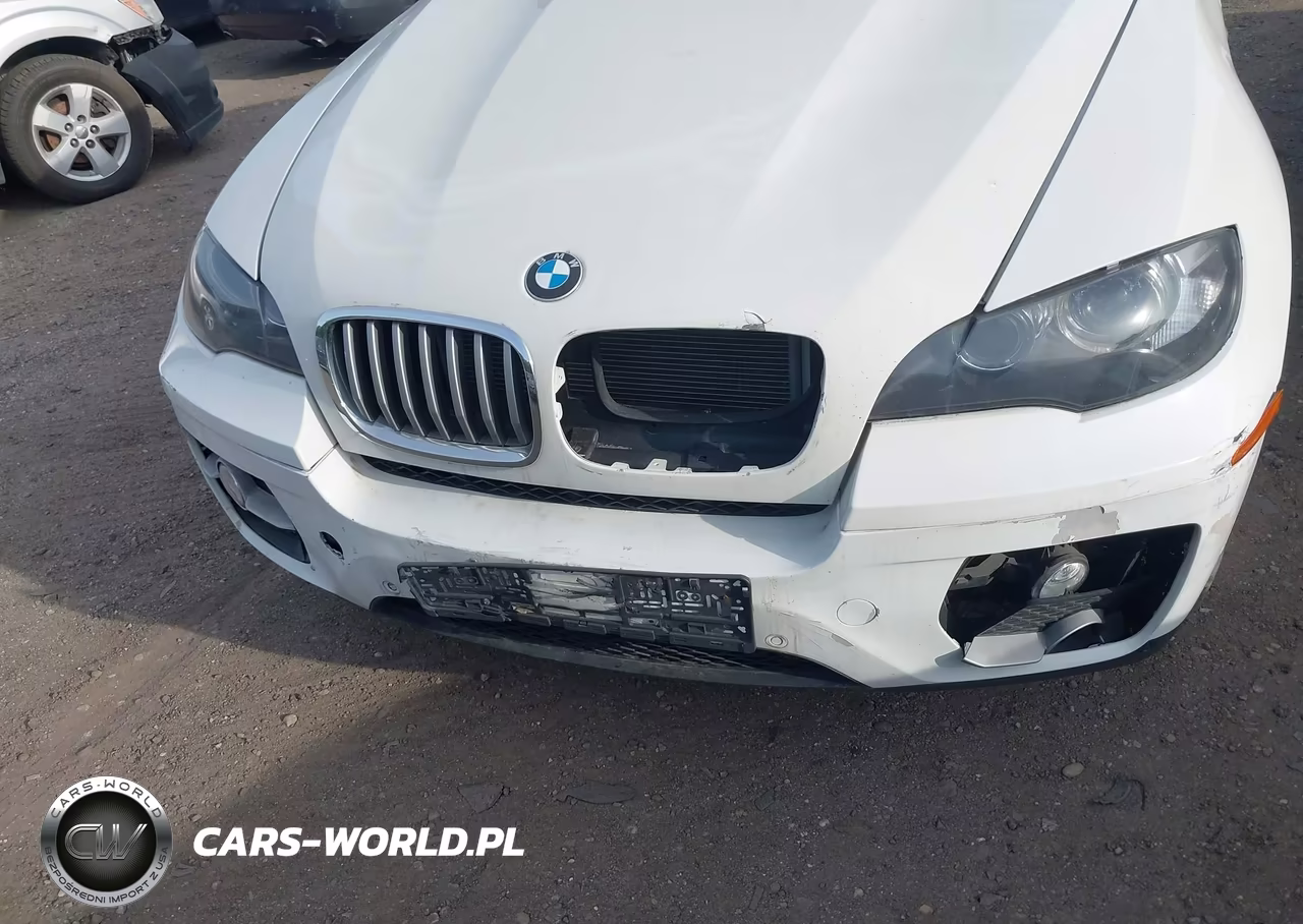 2011 BMW X6 xDrive35I VIN:5UXFG2C51BLX06483 - 6