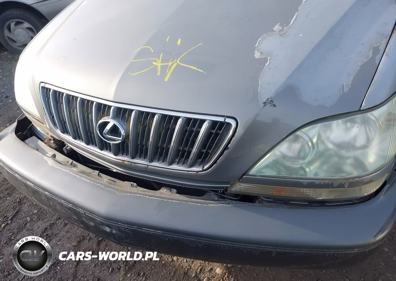2001 Lexus Rx 300 VIN:JTJGF10U910082752 - 10
