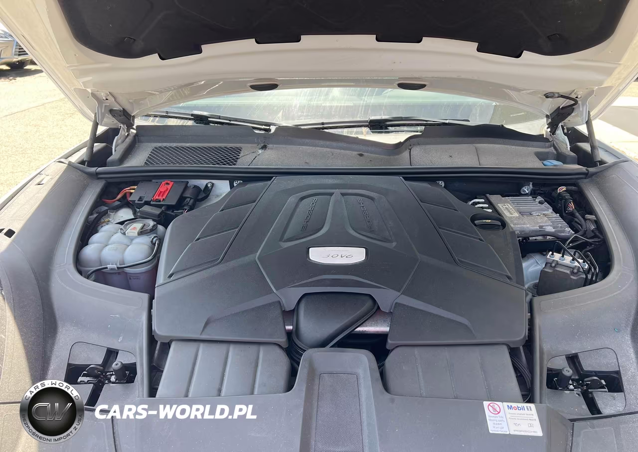2019 Porsche Cayenne VIN:WP1AA2AY2KDA00870 - 10