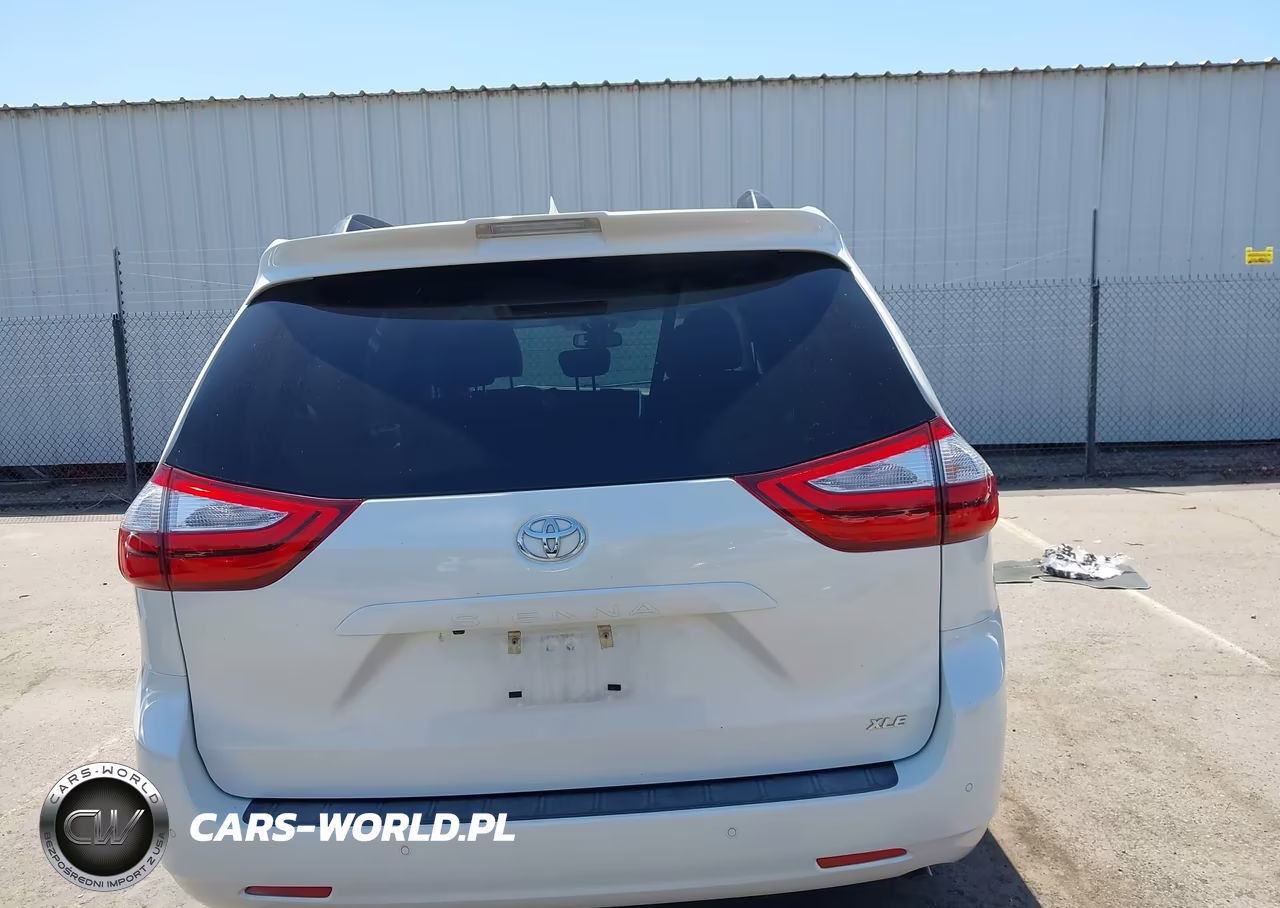 2019 Toyota Sienna Xle 8 Passenger VIN:5TDYZ3DC2KS987182 - 16