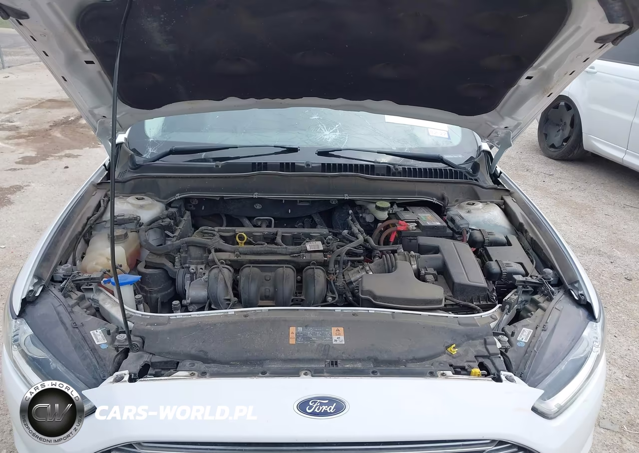 2013 Ford Fusion S VIN:3FA6P0G77DR273117 - 10