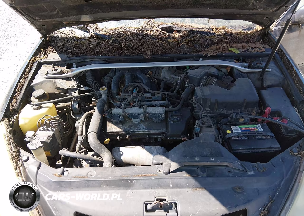 2004 Lexus Es 330 VIN:JTHBA30GX45019604 - 10