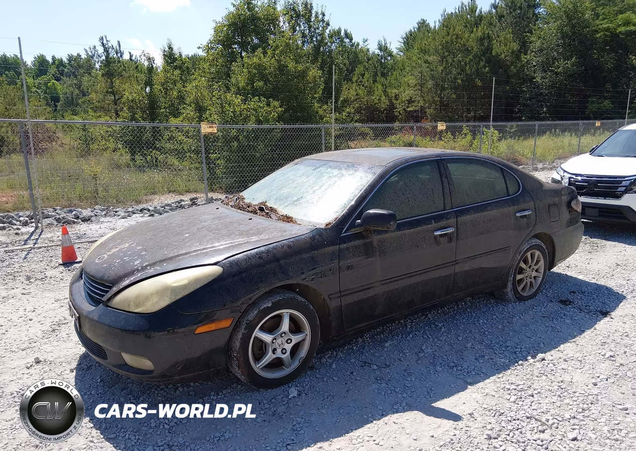 2004 Lexus Es 330 VIN:JTHBA30GX45019604 - 2