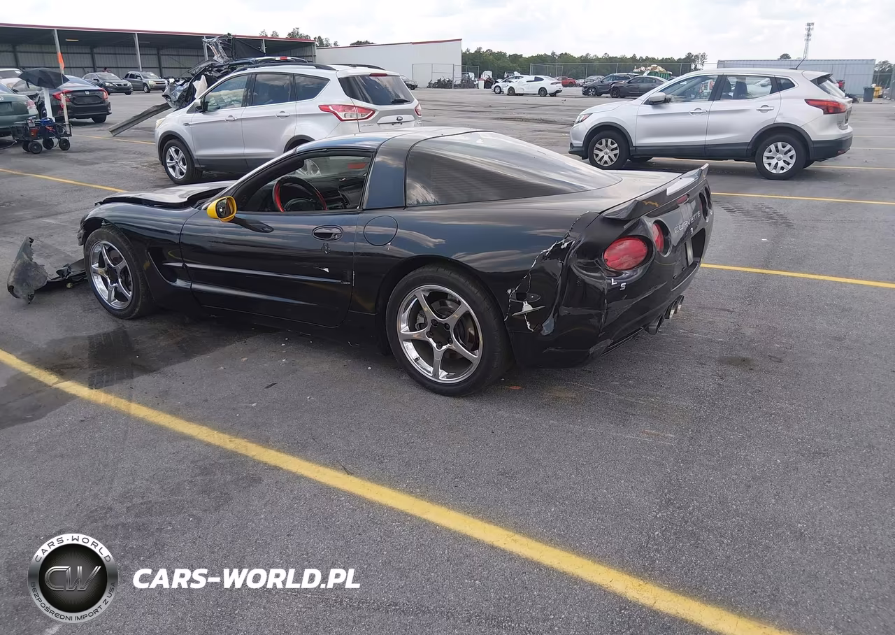 1999 Chevrolet Corvette VIN:1G1YY22G6X5123003 - 3