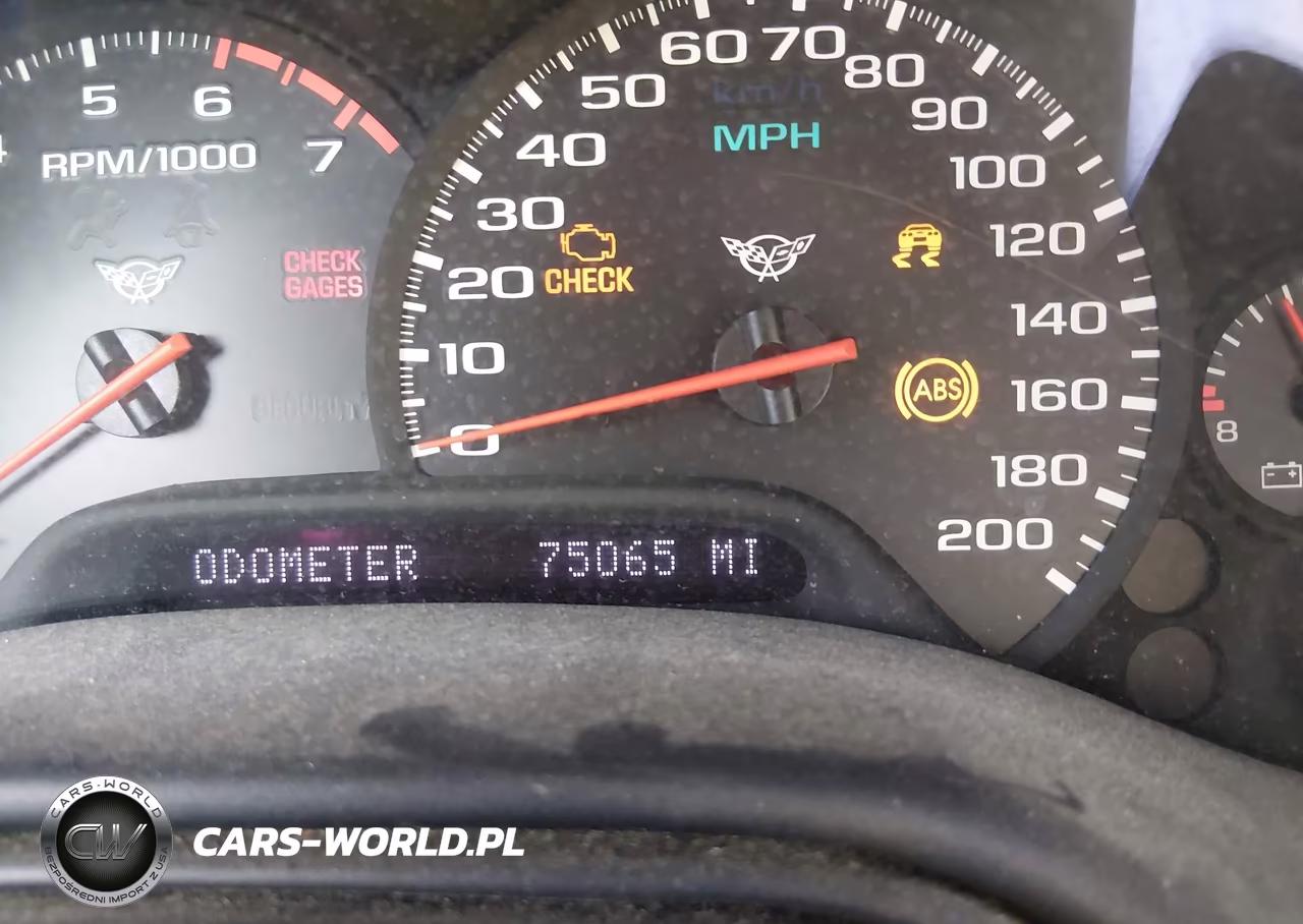 1999 Chevrolet Corvette VIN:1G1YY22G6X5123003 - 7