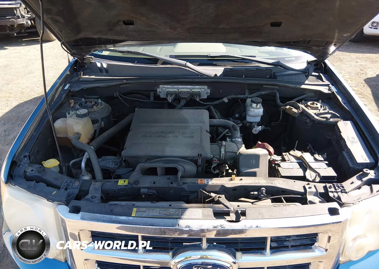 2009 Ford Escape Xlt VIN:1FMCU93G99KB10475 - 10