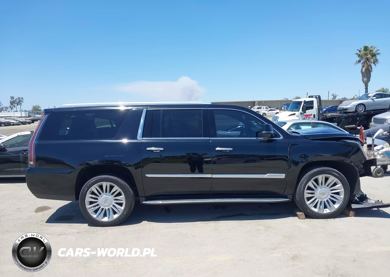 2020 Cadillac Escalade Esv 4Wd Premium Luxury VIN:1GYS4JKJ1LR294401 - 12