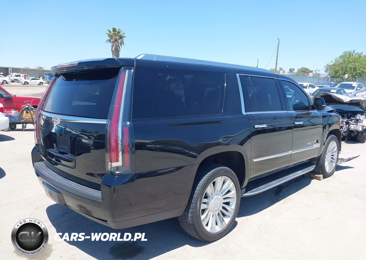 2020 Cadillac Escalade Esv 4Wd Premium Luxury VIN:1GYS4JKJ1LR294401 - 4