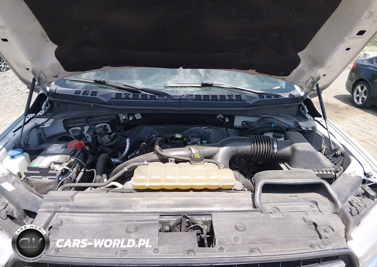 2019 Ford F-150 Xlt VIN:1FTEW1EP2KFC38514 - 10