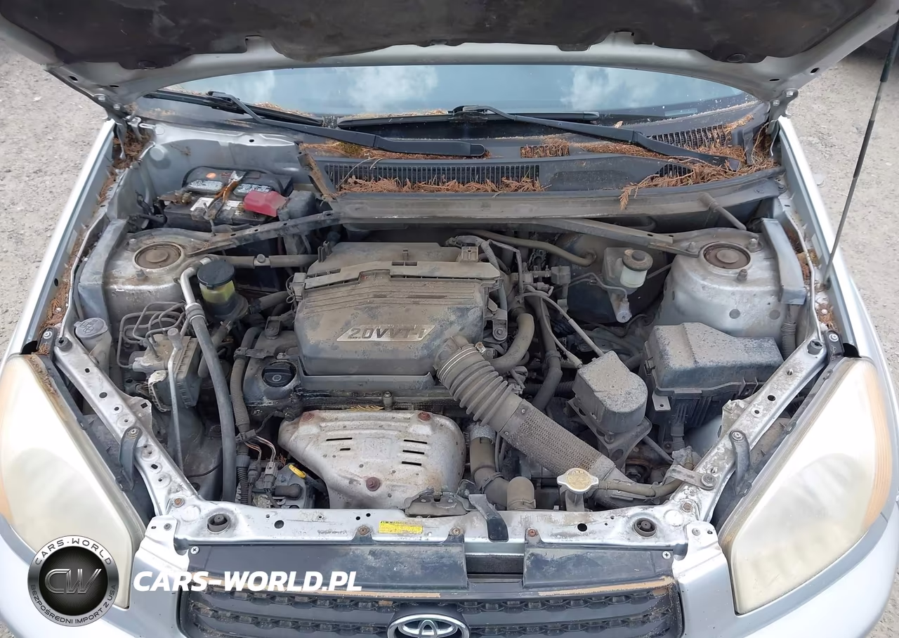 2002 Toyota Rav4 VIN:JTEHH20V320142733 - 10