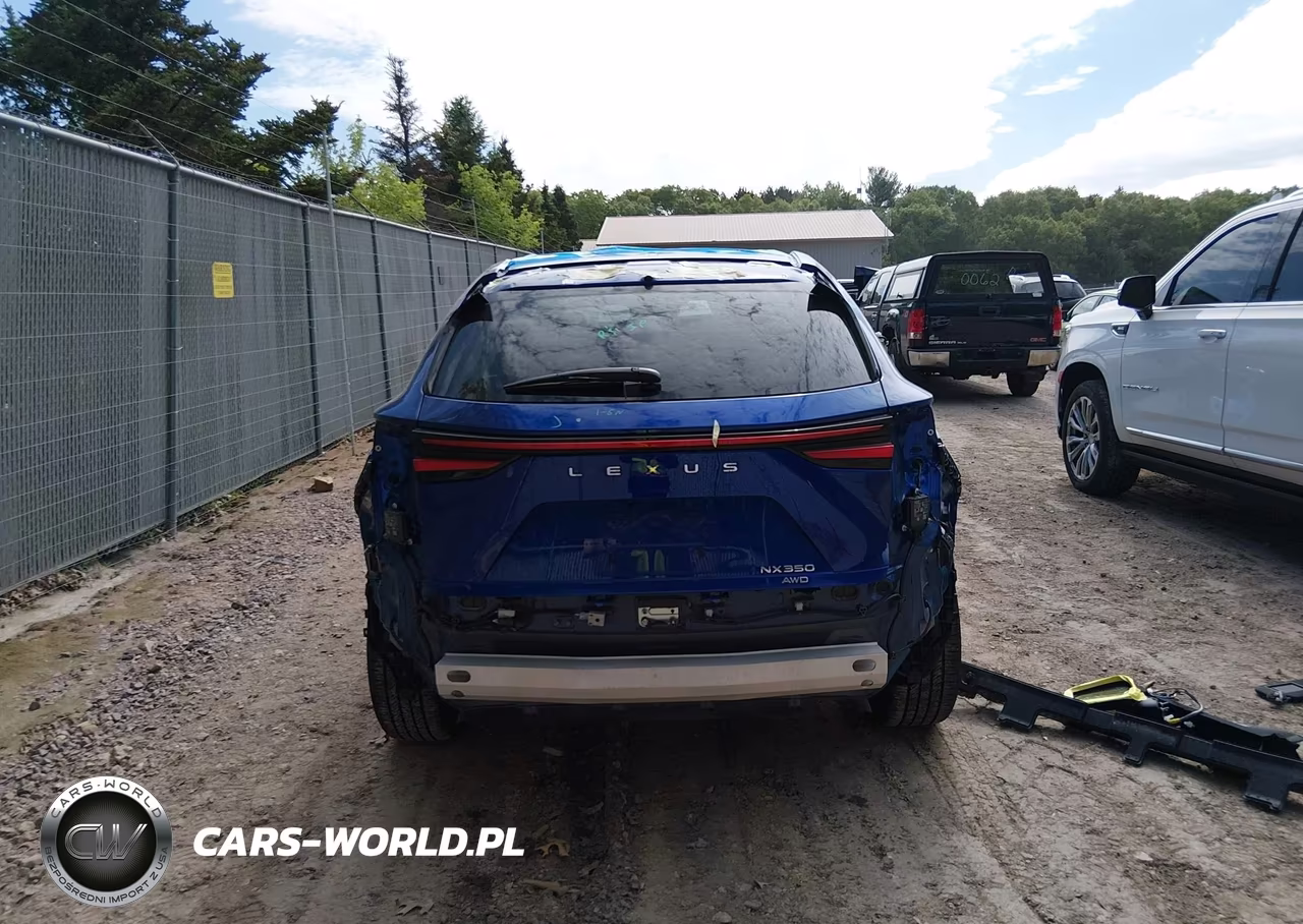 2024 Lexus Nx 350 F Sport Handling VIN:2T2KGCEZ8RC053069 - 17