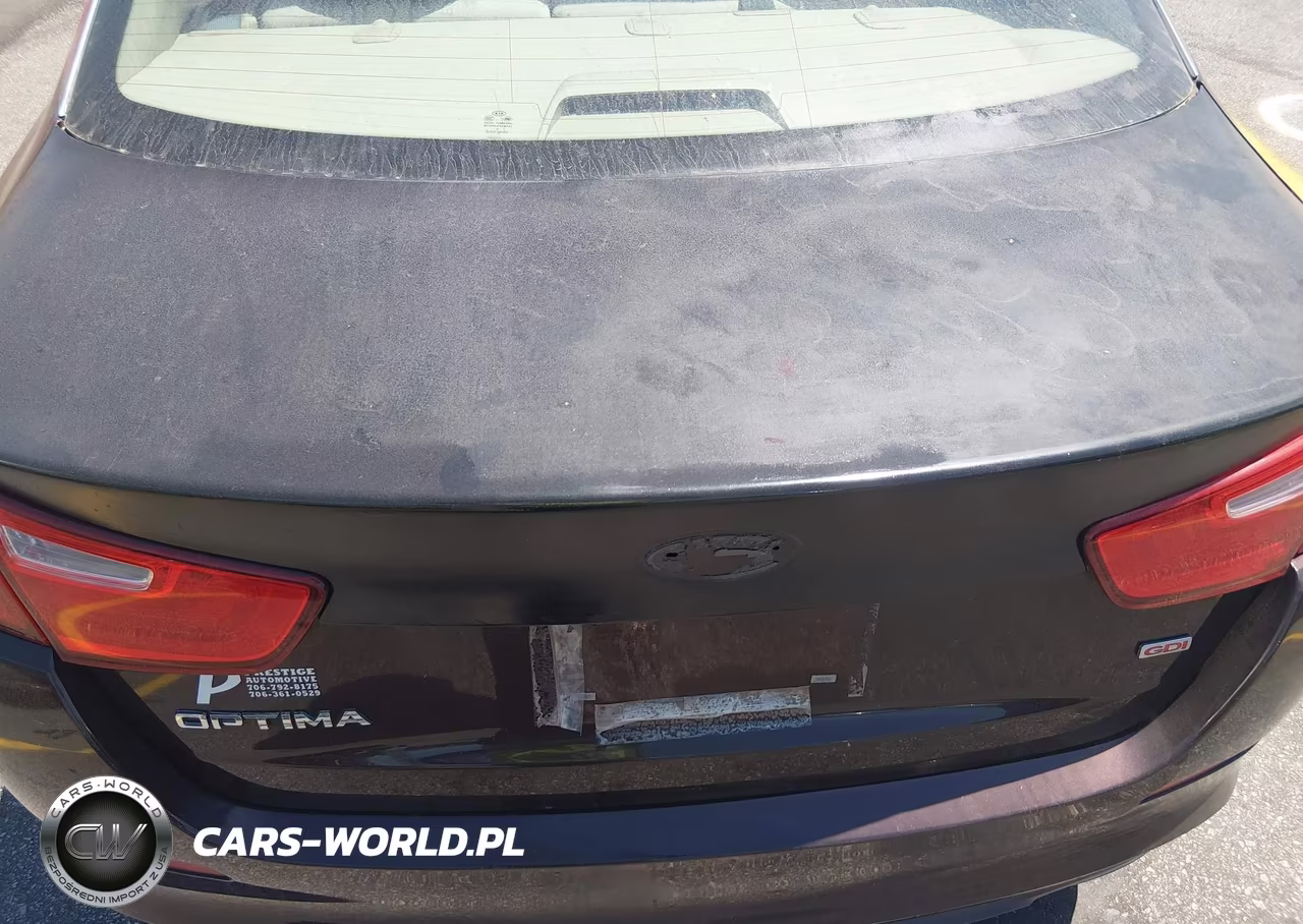 2015 Kia Optima Lx VIN:5XXGM4A73FG464817 - 12