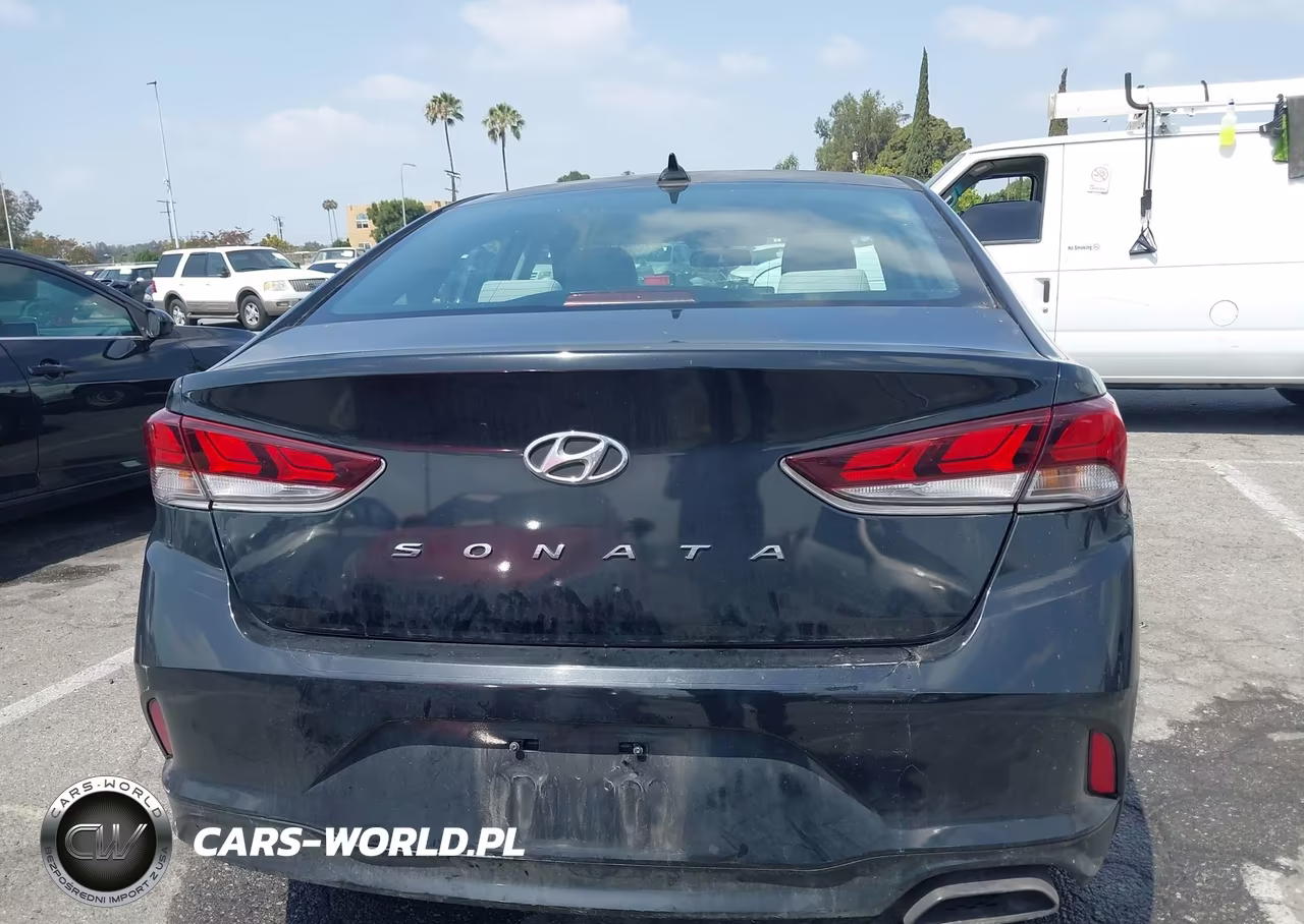 2018 Hyundai Sonata Se VIN:5NPE24AFXJH676387 - 16