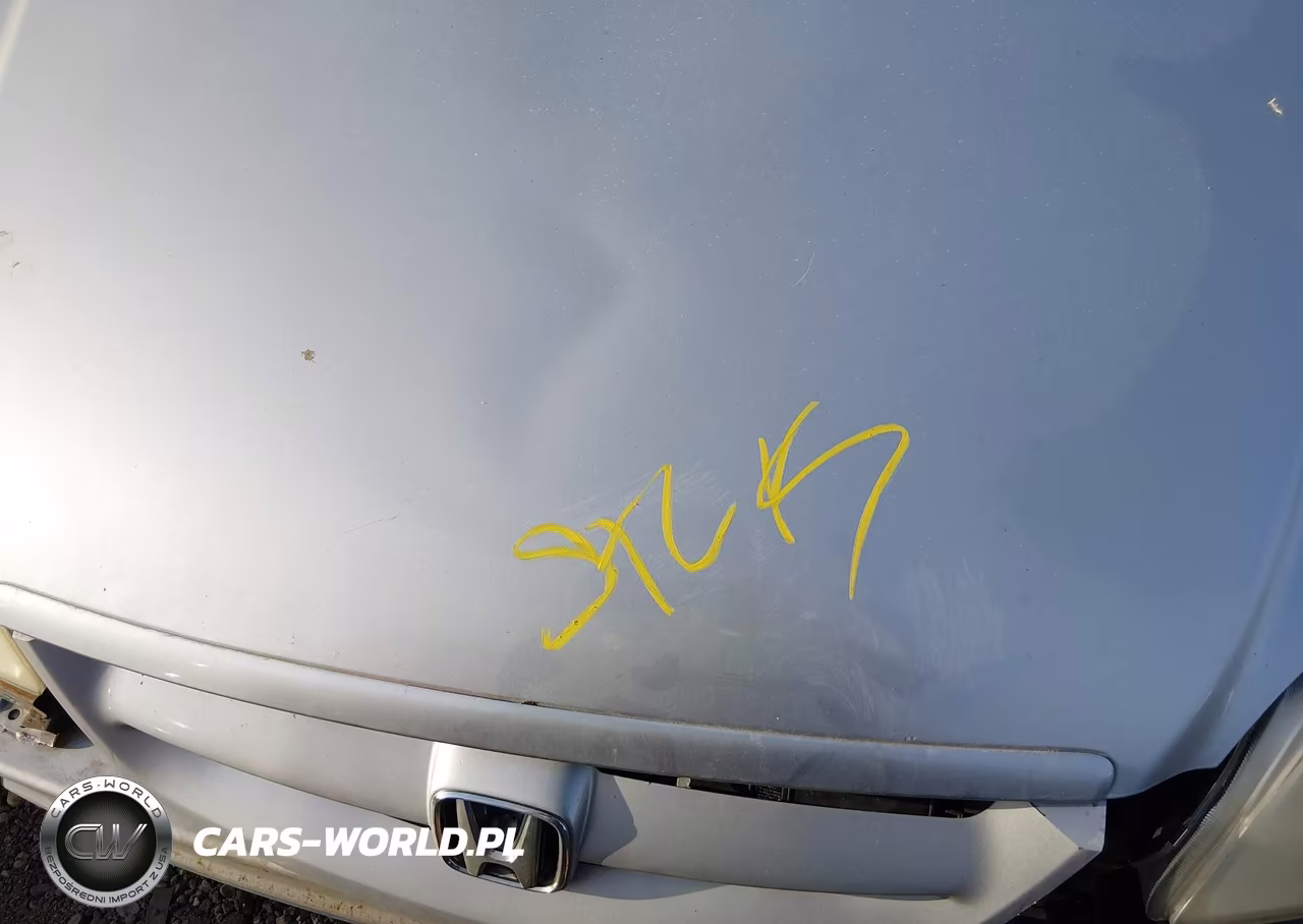2003 Honda Civic Lx VIN:1HGEM22513L016629 - 10