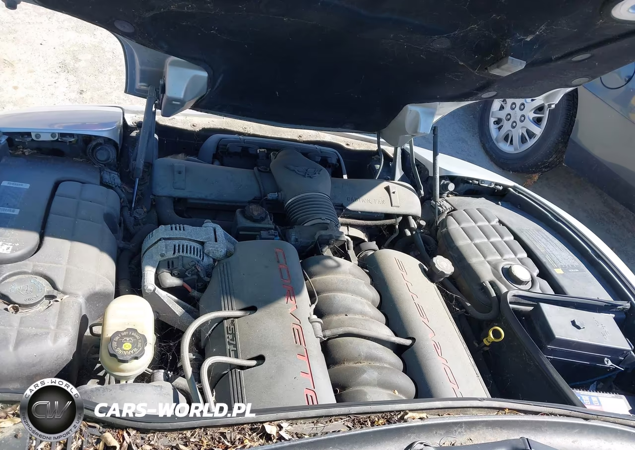 1997 Chevrolet Corvette VIN:1G1YY22G1V5108373 - 10