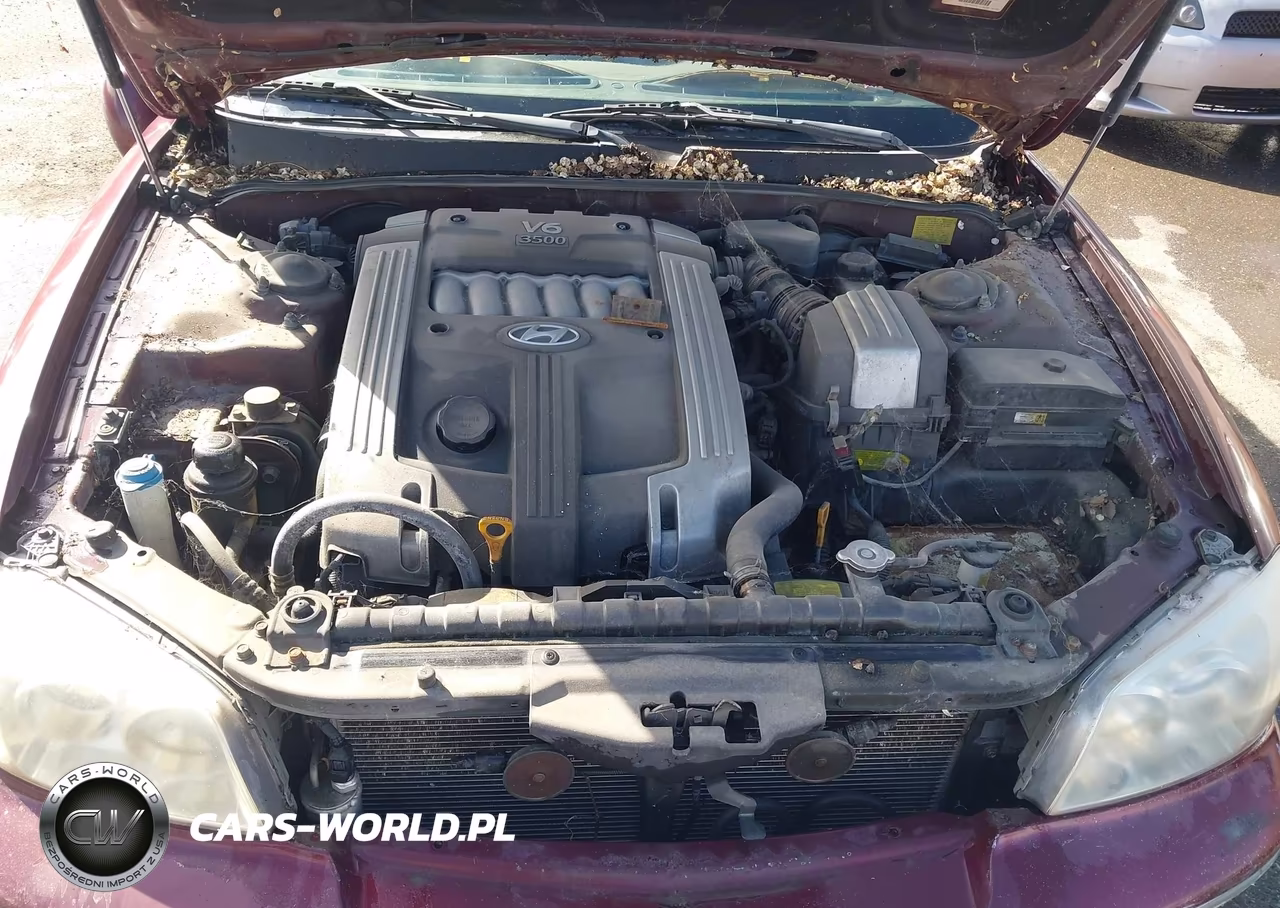 2004 Hyundai Xg350 L VIN:KMHFU45E64A298690 - 10