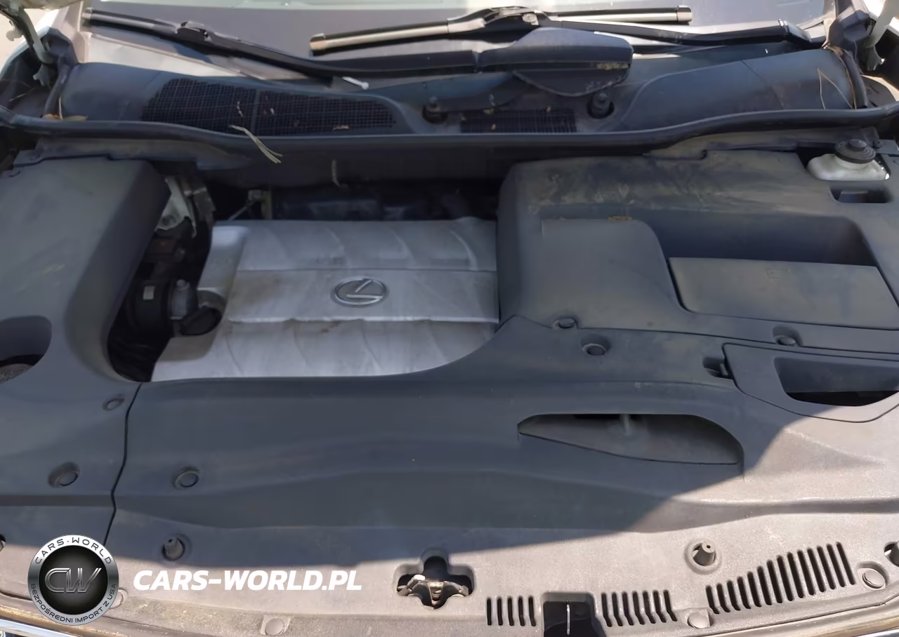 2010 Lexus Rx 350 VIN:2T2BK1BA9AC026985 - 10