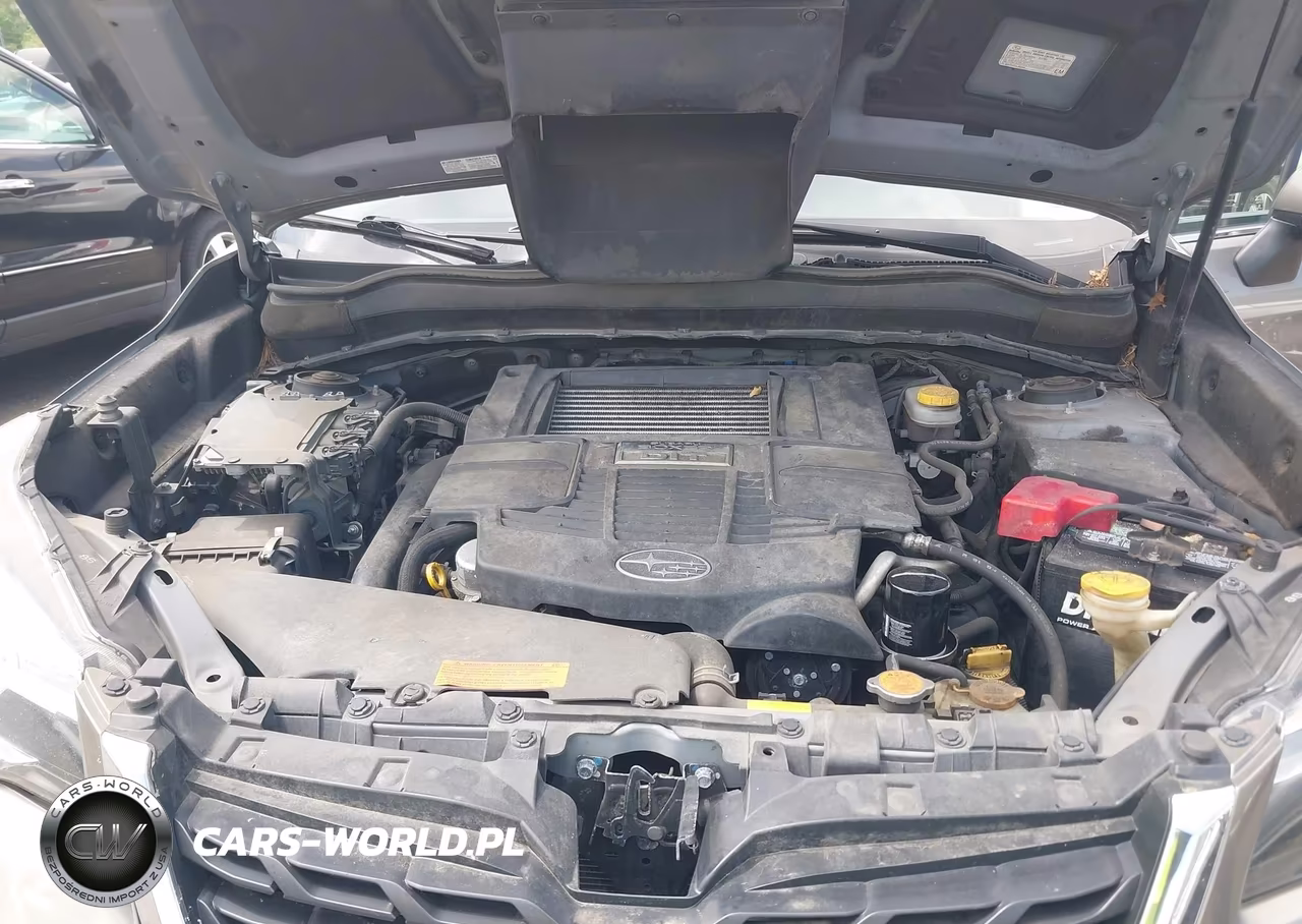 2017 Subaru Forester 2.0Xt Touring VIN:JF2SJGTC4HH457008 - 10