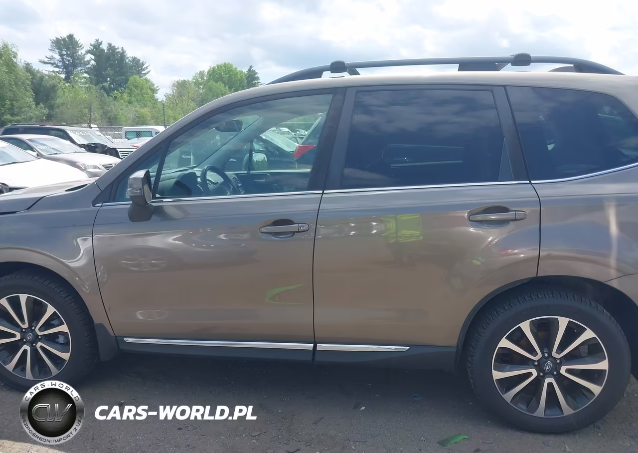 2017 Subaru Forester 2.0Xt Touring VIN:JF2SJGTC4HH457008 - 14
