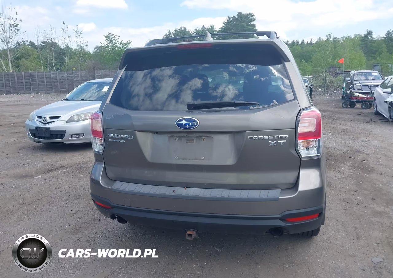 2017 Subaru Forester 2.0Xt Touring VIN:JF2SJGTC4HH457008 - 16
