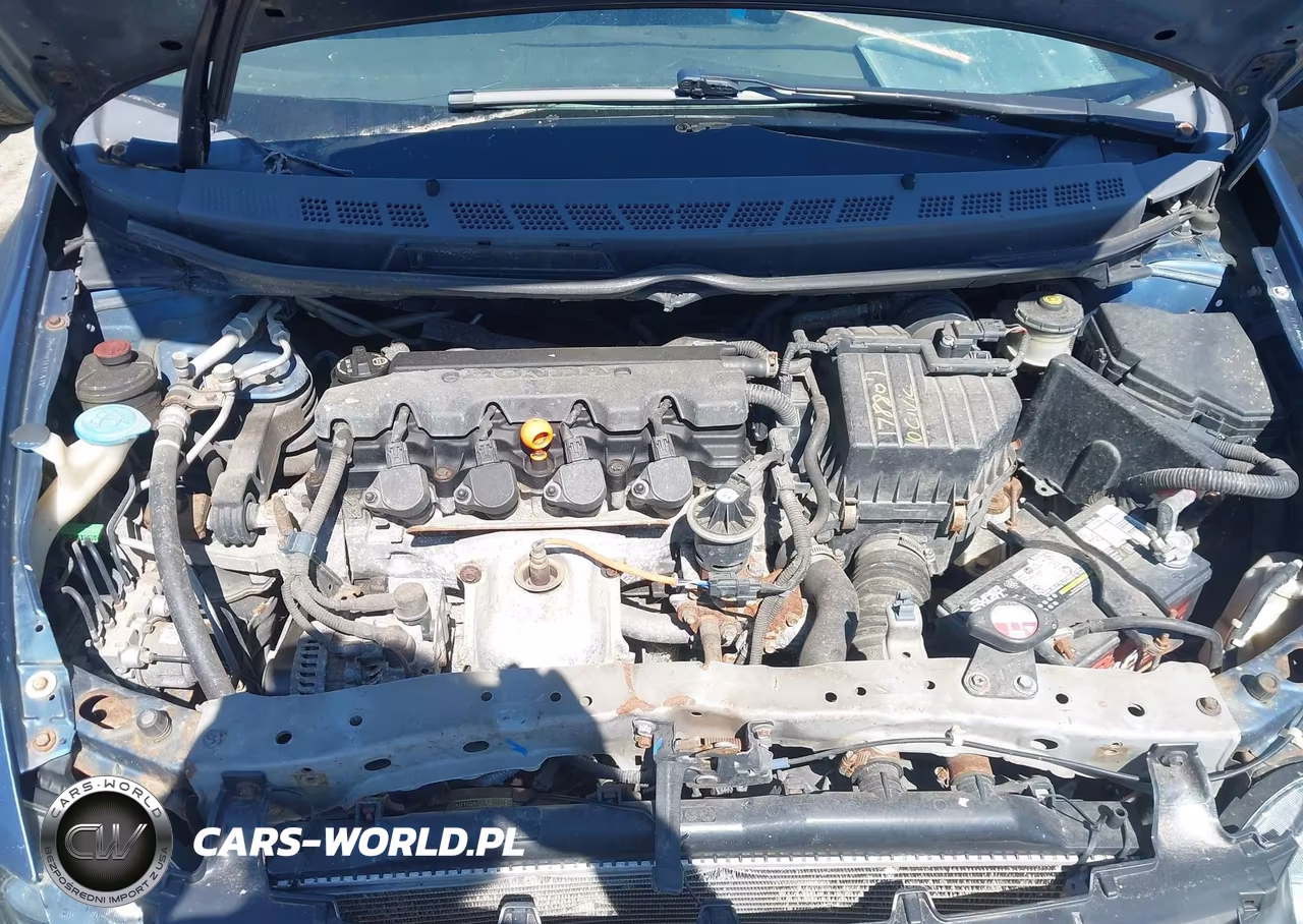 2009 Honda Civic Lx VIN:19XFA16579E045411 - 10